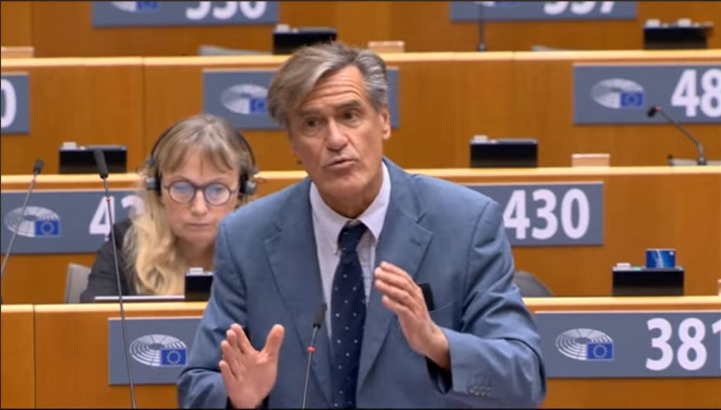 Intervención en el Pleno del Parlamento Europeo