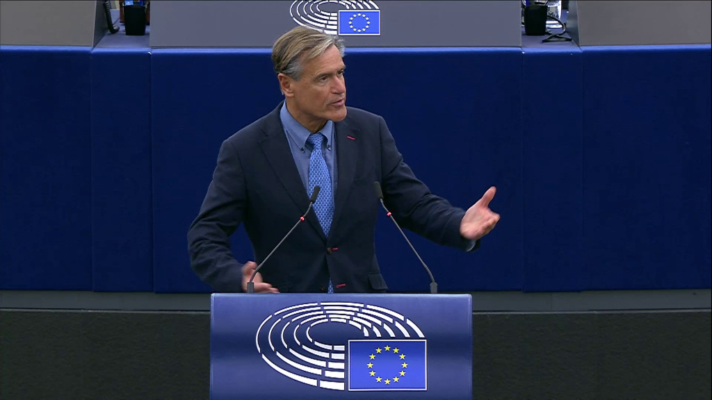 Intervención en el Parlamento Europeo en Estrasburgo el 21 noviembre