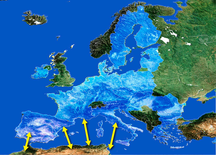 La dimensión exterior del Pacto UE de Migraciones y Asilo: la mirada reaccionaria y la mirada europeísta.