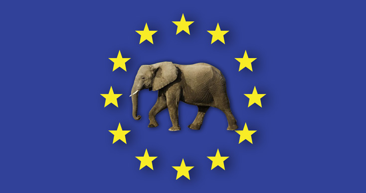 El elefante en la habitación de la ampliación de la UE